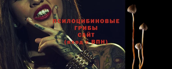 каннабис Богородицк