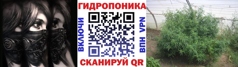 Бошки Шишки VHQ  Неман 